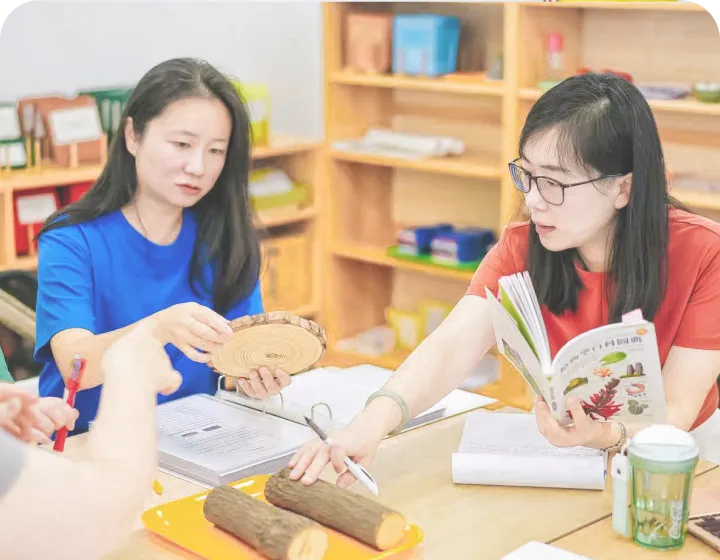 AMI 6-12岁蒙台梭利小学